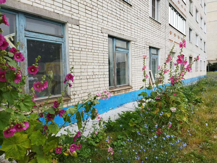 Свободного назначения, 52 м²