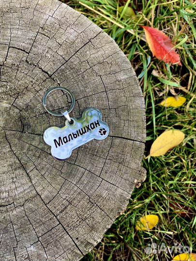 Имменик адресник