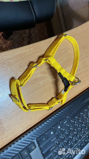 Поводок и шлейка новая для маленкой собаки