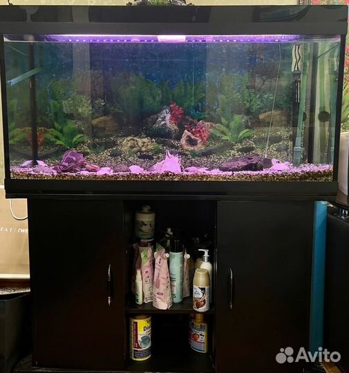 Аквариум 240 литров с тумбой