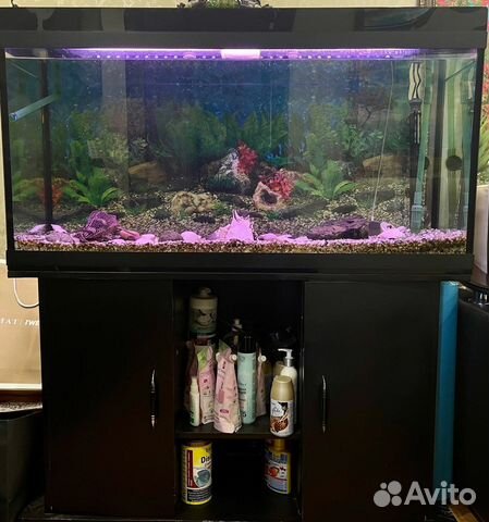 Аквариум 240 литров с тумбой