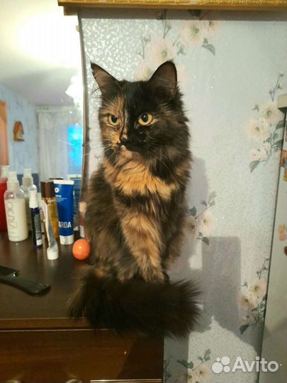 Экзотическая