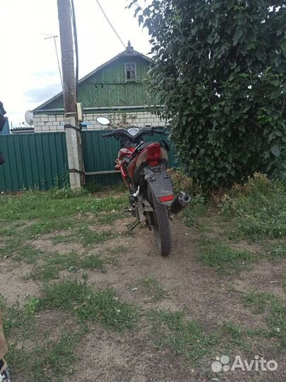 Racer viper 130см