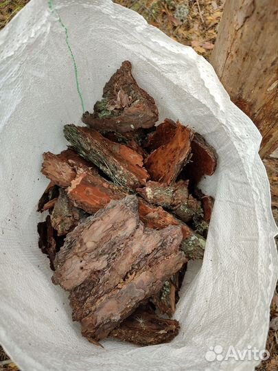 Кора сосны мульча