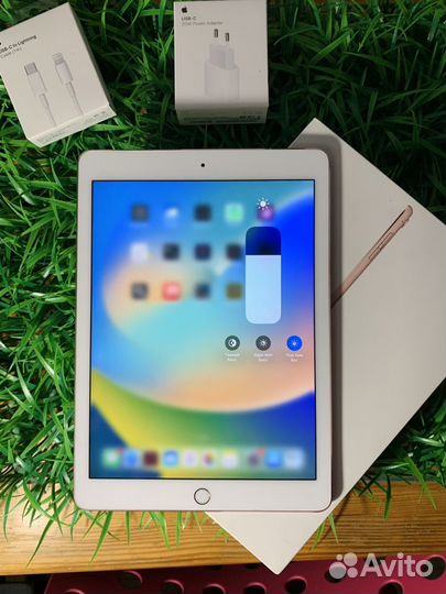 iPad Pro 9.7 Wi-Fi + Cellular + Procreate