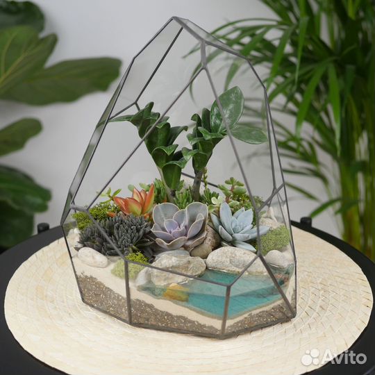 Магазин растений и флорариумов