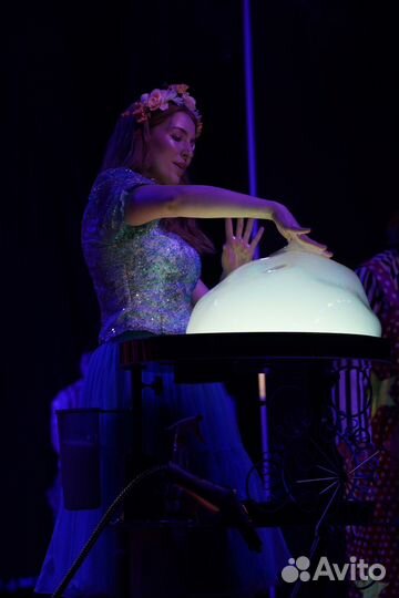 Научное шоу, шоу мыльных пузырей, аниматоры,фокусы