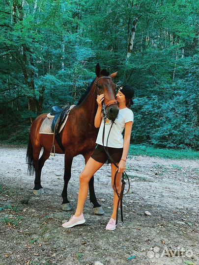 Прогулка на лошадях