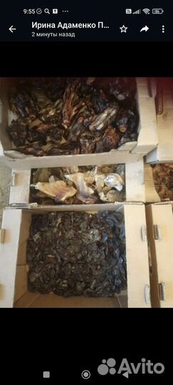 Сушёные лакомства для собак