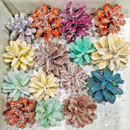 Шишки сосновые