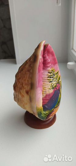 Ракушка морская,сувенир с Кубы