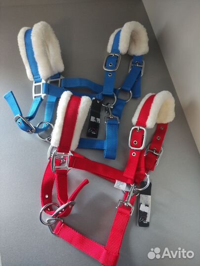 Недауздок для лошади