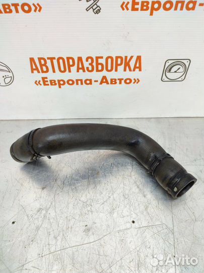 Патрубок радиатора Lifan X60 1.8 Л 2013