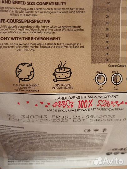 Корм для собак