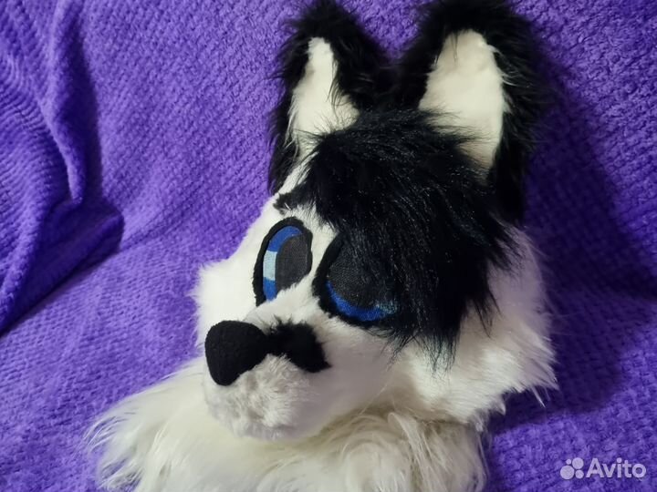 Фурсьют Лис