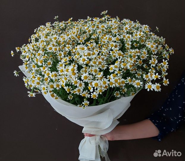 Букет ромашки