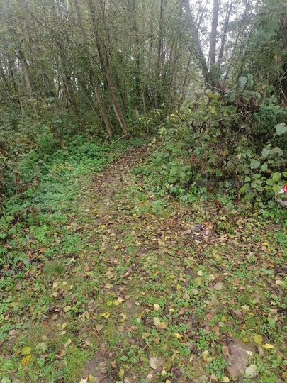 Дача 30 м² на участке 7 сот.