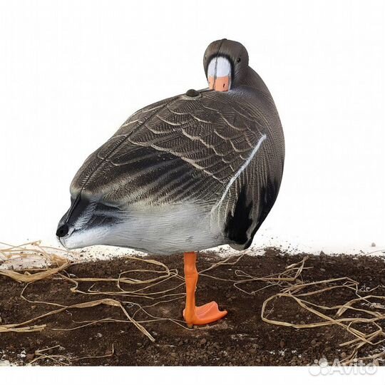 Чучело гуся Белолобый super xpe 5 шт 3 комплекта