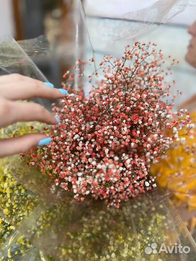 Букет Гипсофила Белая Цветная