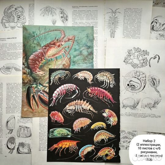 Набор для джанкбука (скрапбукинга)