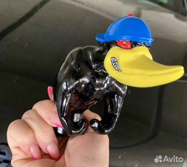 Селезень на авто