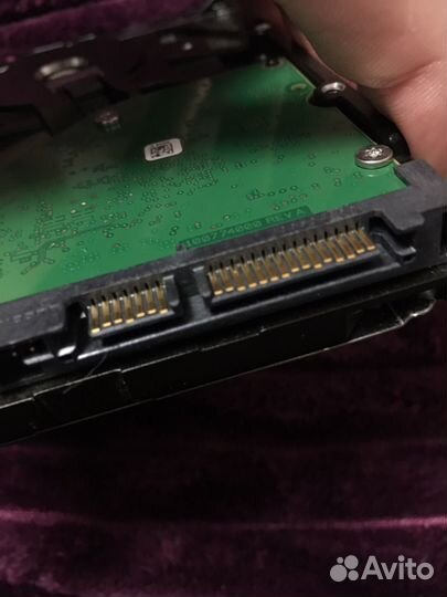 Жесткий диск 500 гб 3.5