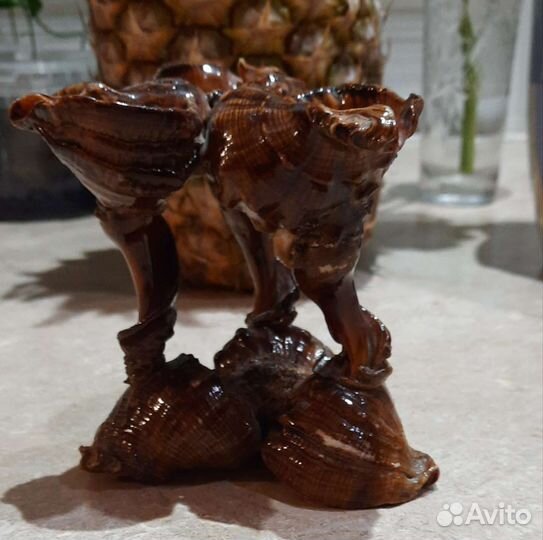 Подставка из ракушек СССР