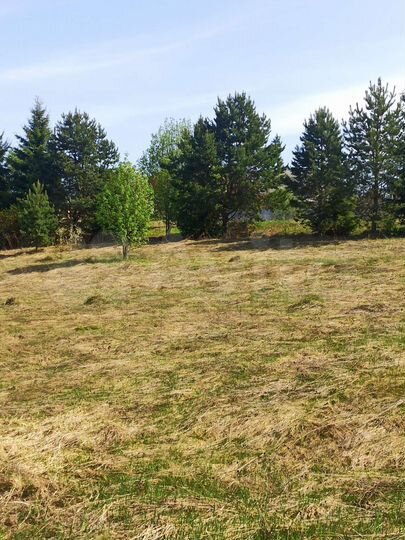 Участок 13,02 га (ИЖС)