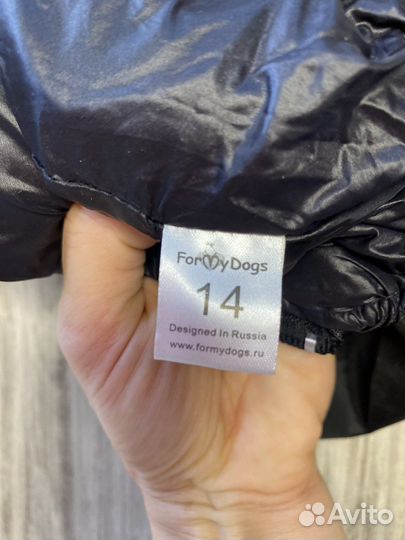 Одежда для собак