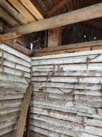 Участок 40 сот. (ИЖС)