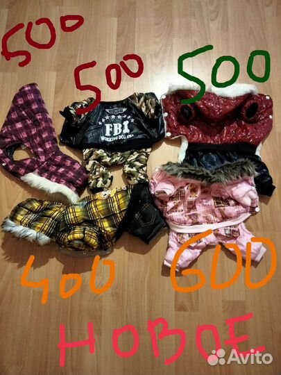 Одежда для собак