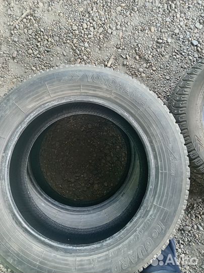 Tunga Tunga 6/6 R15