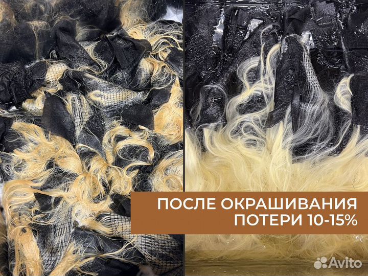 Натуральные волосы. Поставщик волос. Опт/розница