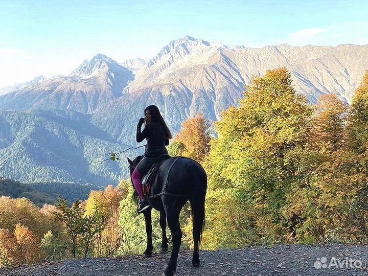 Конные прогулки