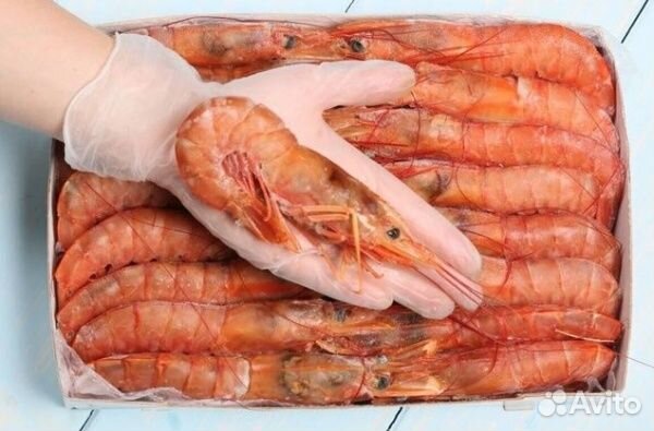 Креветки. Лангустины