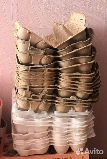 Контейнеры для яиц 48 шт