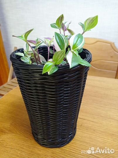 Чехол (кашпо) для цветов