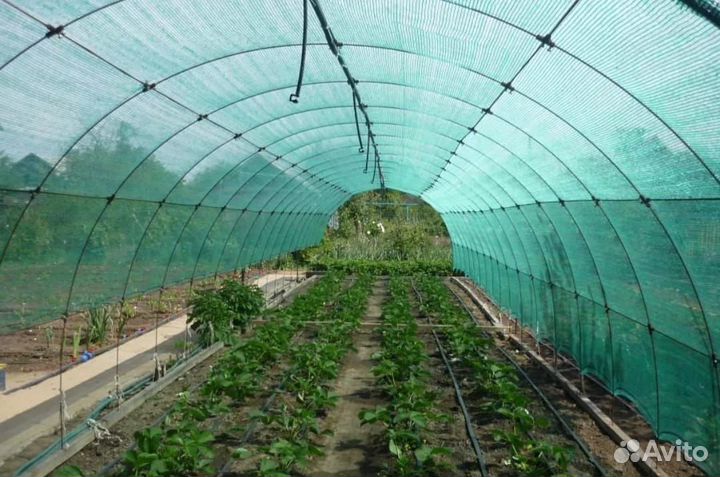 Сотовый поликарбонат