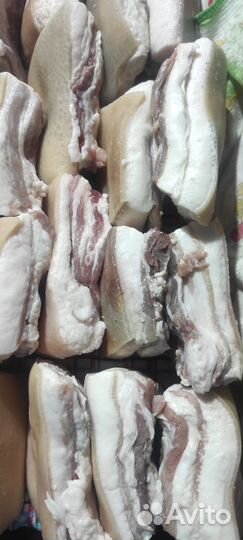 Сало опт и розница