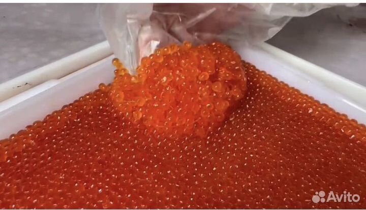 Икра Кеты опт