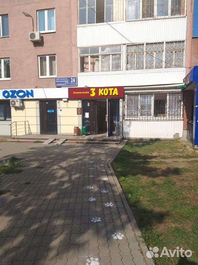 Продаётся зоомагазмн