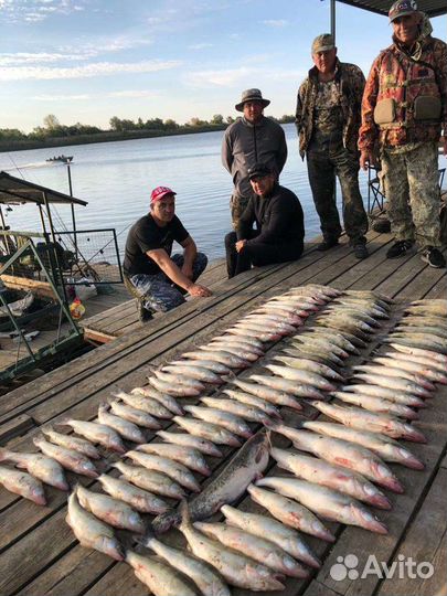 Рыбалка в Астрахани. Нижняя Волга