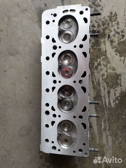 Гбц да.Эвотек