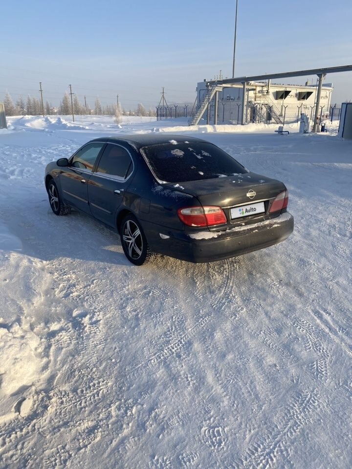 Nissan Maxima: фото владельца