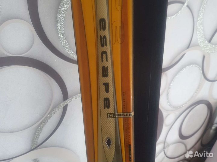 Горные лыжи