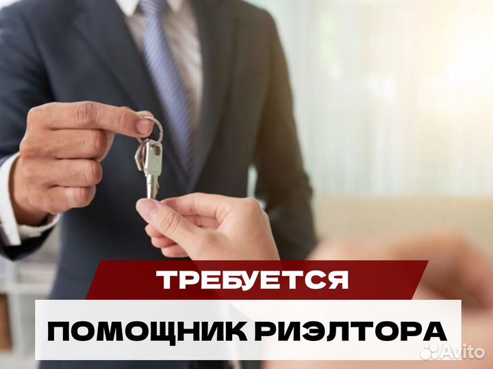 Требуется помощник риэлтора