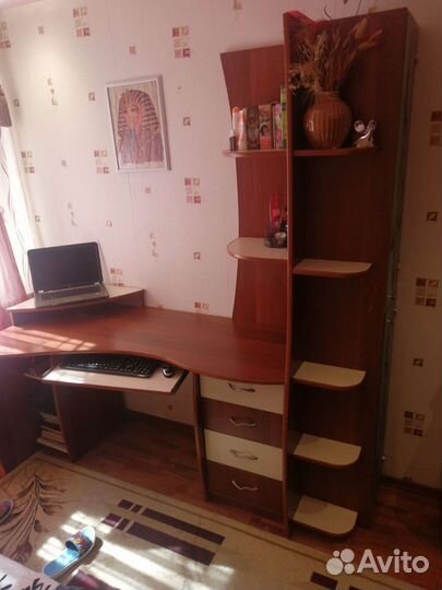 Письменный стол/компьютерный стол