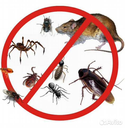 Уничтожение насекомых, клещей, комаров
