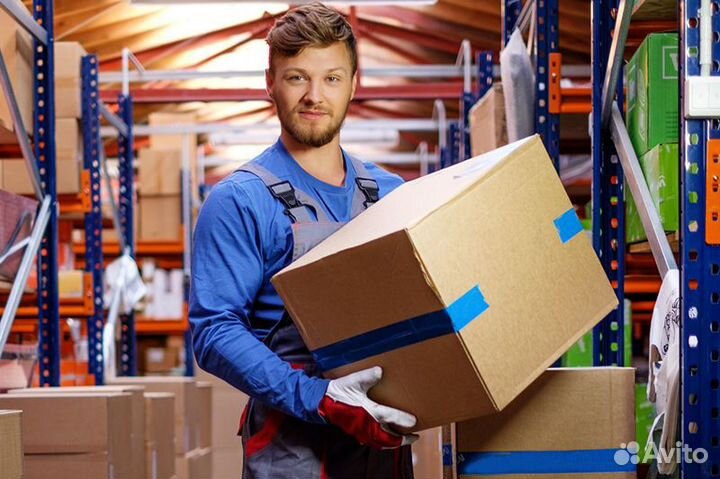 Мерчендайзер Грузчик (Краснооктябрьский район)