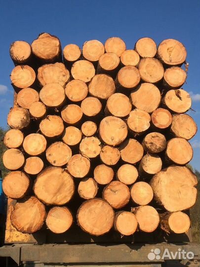 Лес кругляк строевой